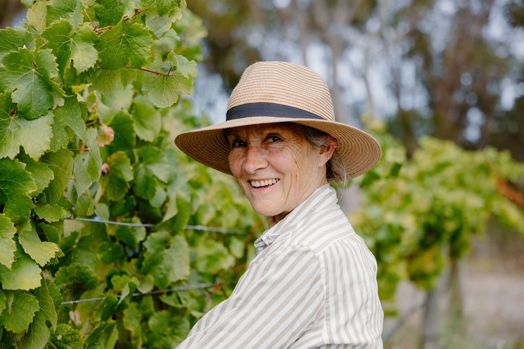 Green Gold Avocadoes