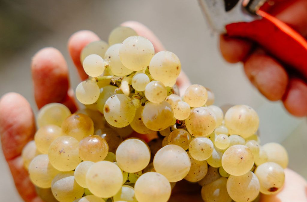 Great Southern Wine Stall